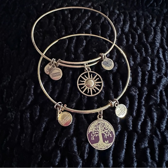 Alex and Ani Jewelry - Alex and Ani Charm Two Bracelet Set